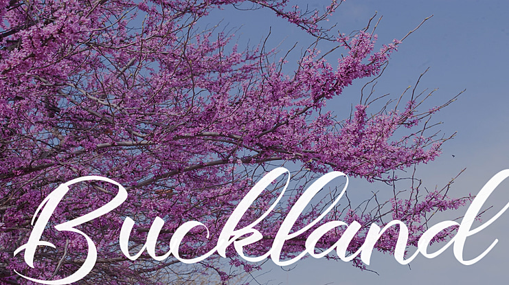 Buckland Font