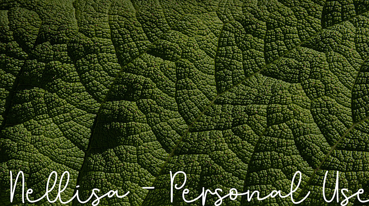 Nellisa - Personal Use Font