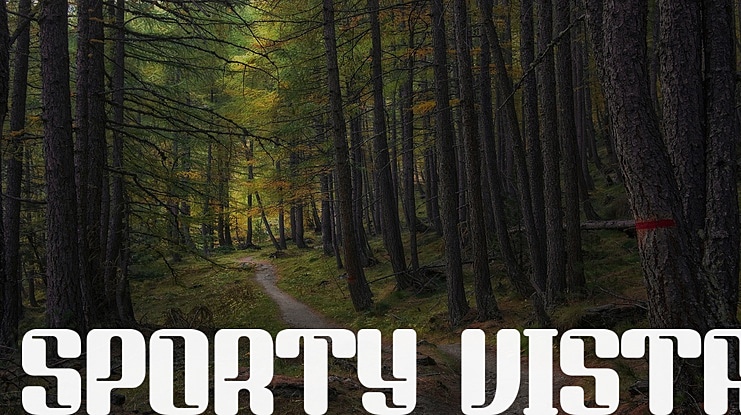 SPORTY VISTA Font