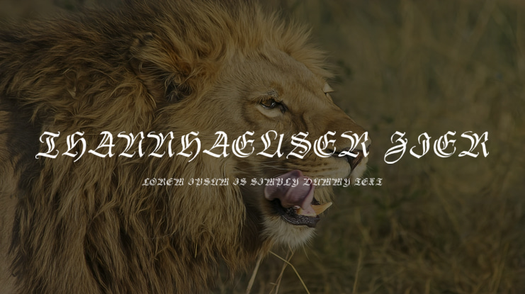 Thannhaeuser Zier Font Family