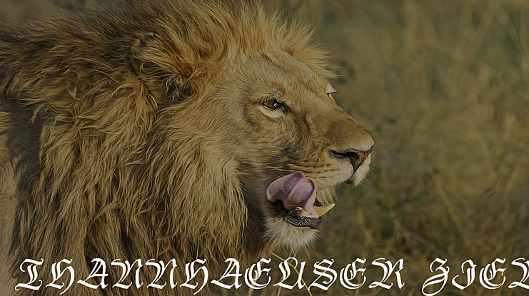 Thannhaeuser Zier Font Family