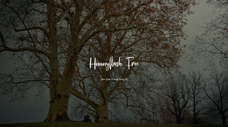 Hunnyflash Free Font