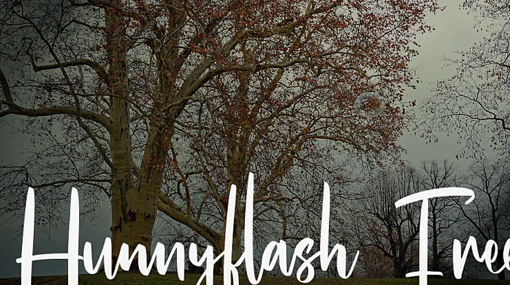 Hunnyflash Free Font