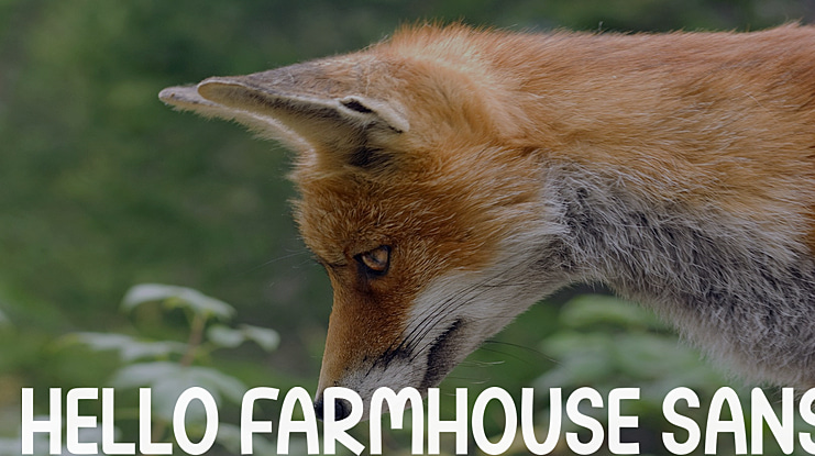 Hello Farmhouse Sans Font Family