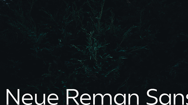 Neue Reman Sans Font
