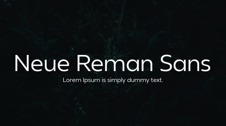 Neue Reman Sans Font
