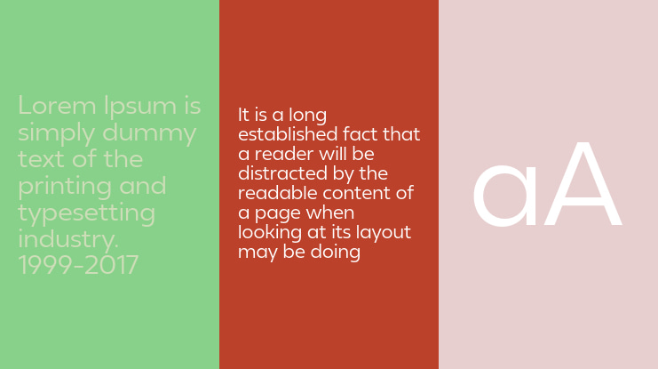 Neue Reman Sans Font