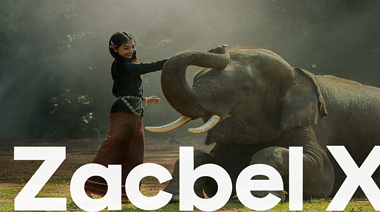 Zacbel X Font Family