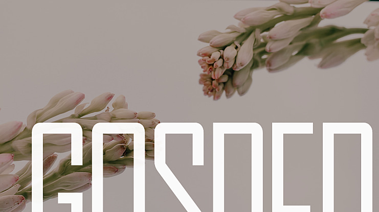 GOSPER Font