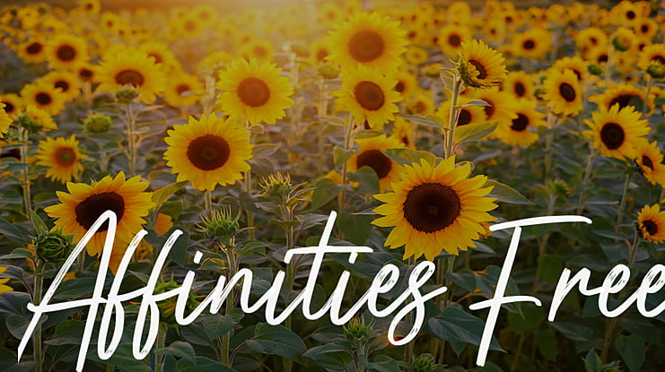 Affinities Free Font