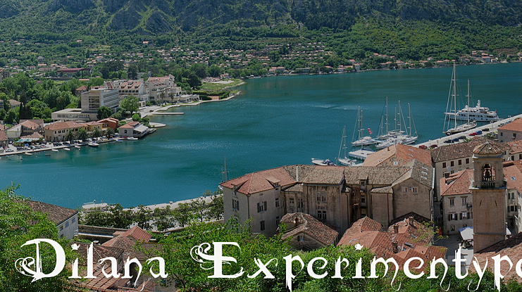 Dilana Experimentype Font