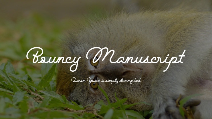 Bouncy Manuscript Font