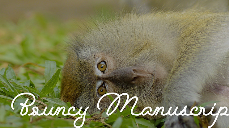 Bouncy Manuscript Font