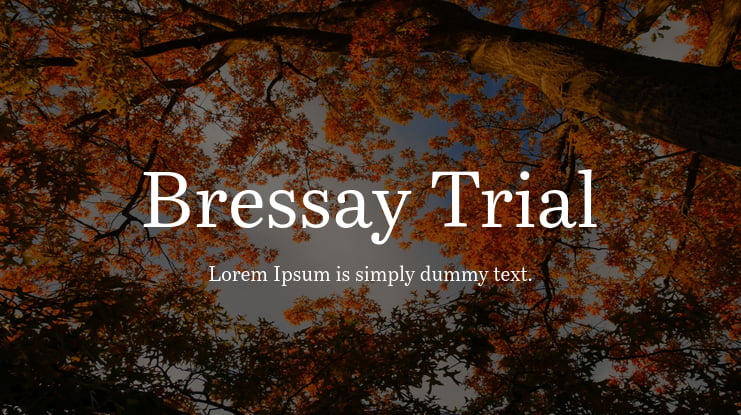 Bressay Trial Font Family