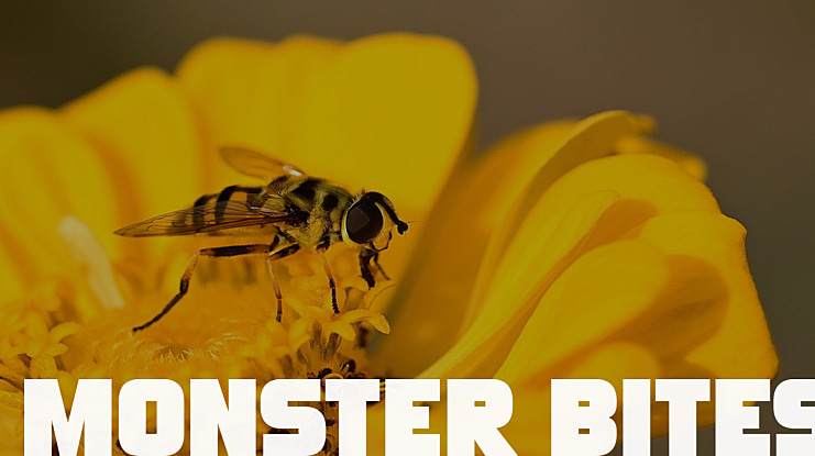 Monster Bites Font Family
