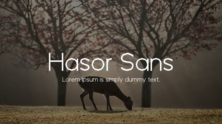 Hasor Sans Font
