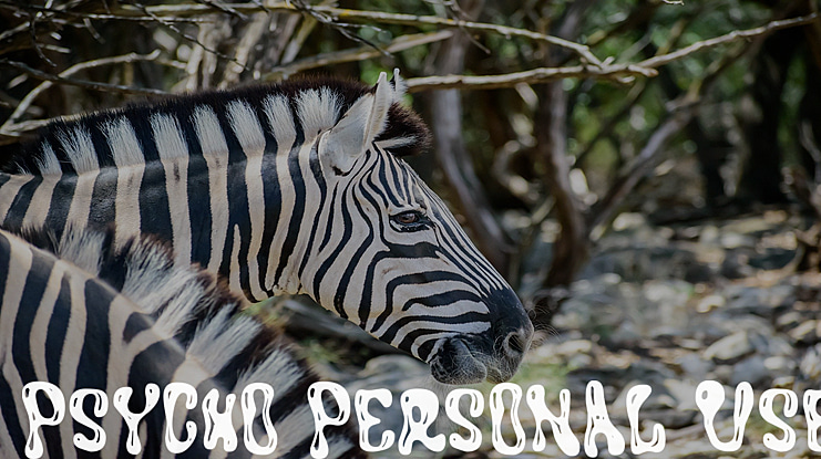 PSYCHO PERSONAL USE Font