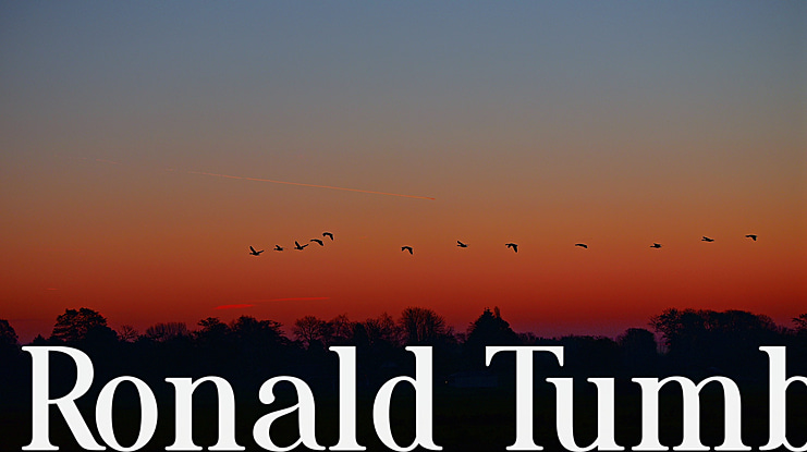 Ronald Tumb Font