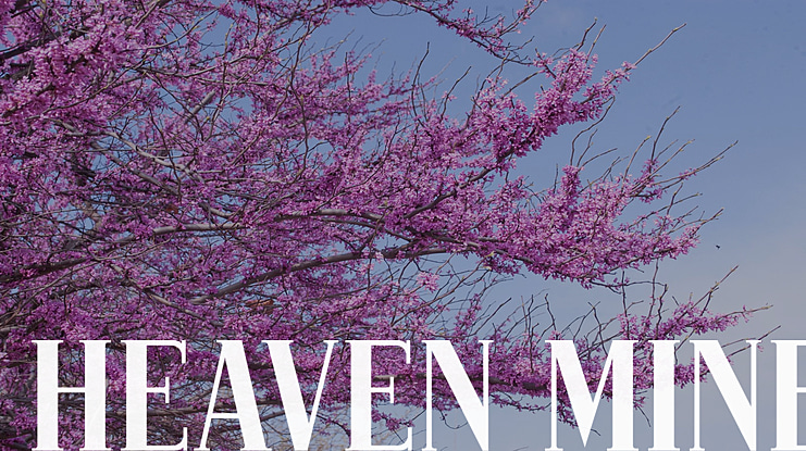HEAVEN MINE Font