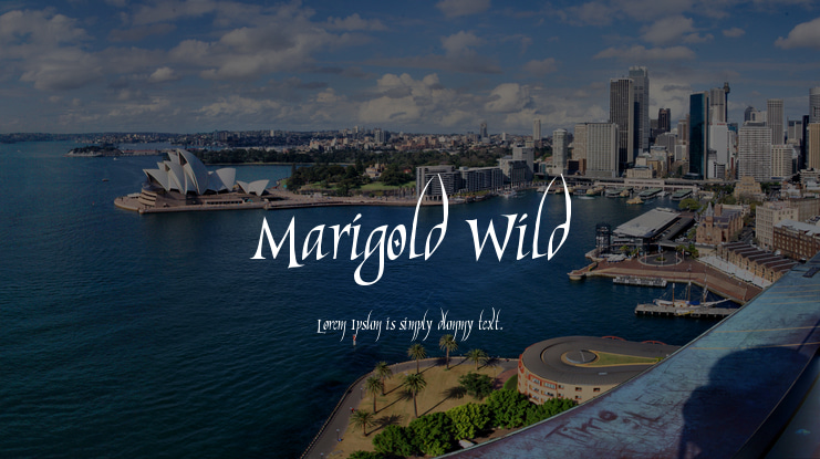 Marigold Wild Font