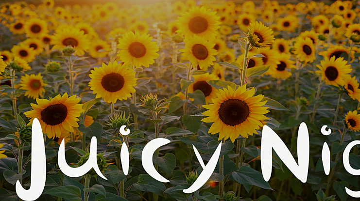 Juicy Nig Font