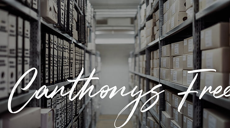 Canthonys Free Font
