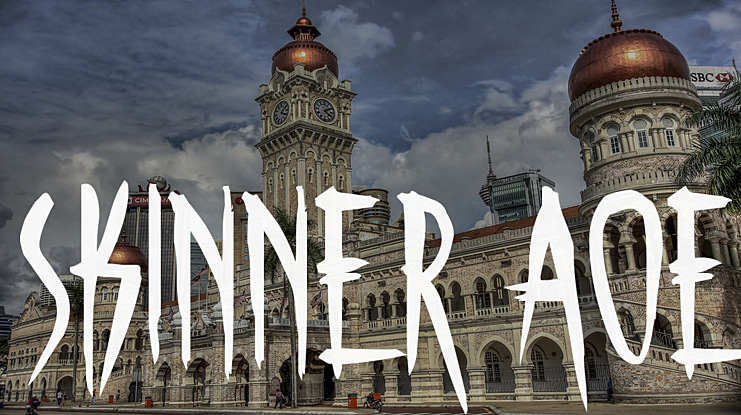 Skinner AOE Font