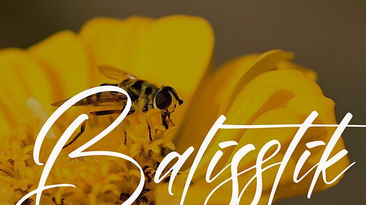 Balisstik Font