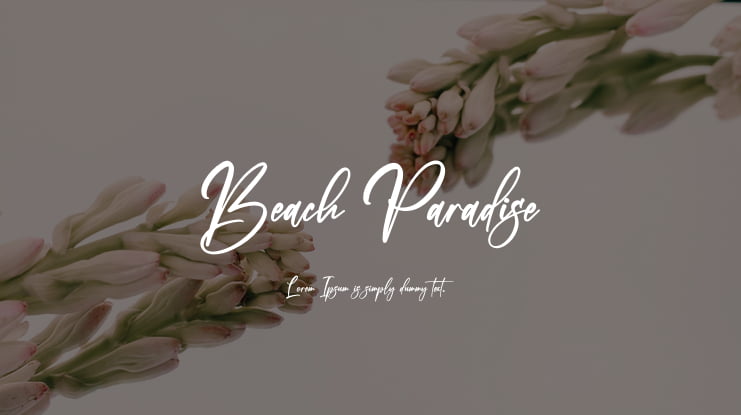 Beach Paradise Font