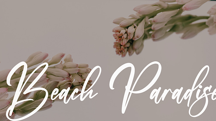 Beach Paradise Font