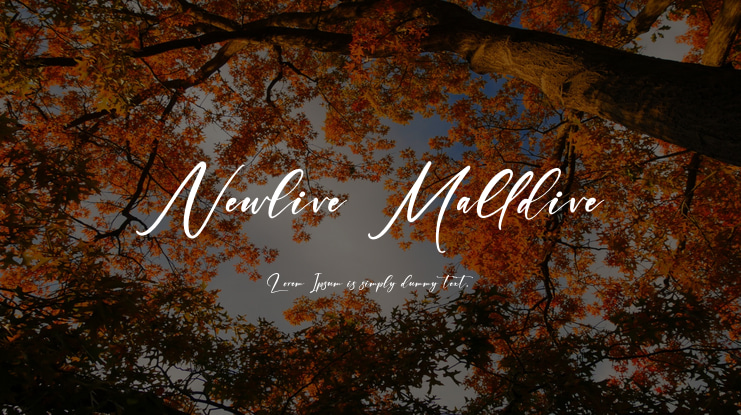 Newlive Malldive Font