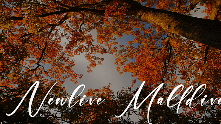 Newlive Malldive Font