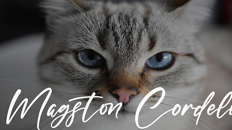 Magston Cordeli Font