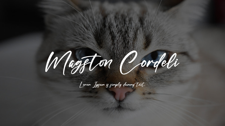 Magston Cordeli Font