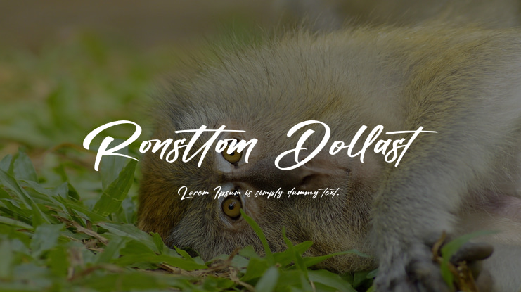 Ronsttom Dollast Font