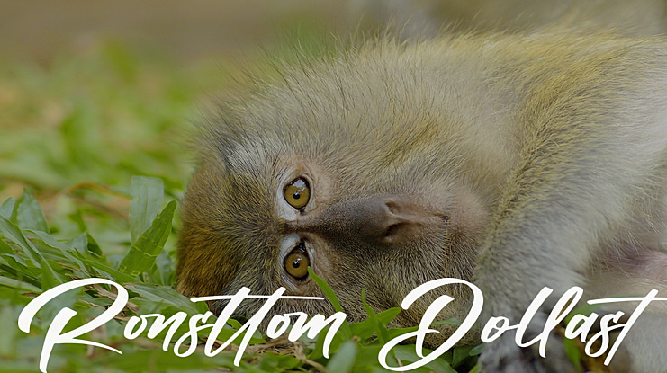 Ronsttom Dollast Font