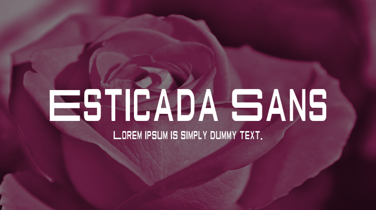 Esticada Sans Font