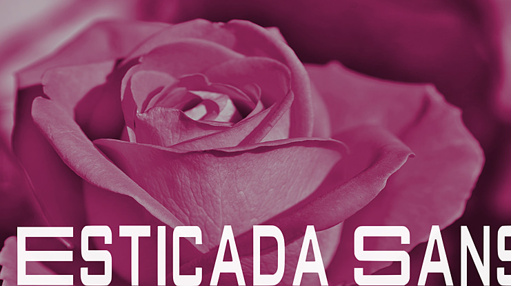 Esticada Sans Font