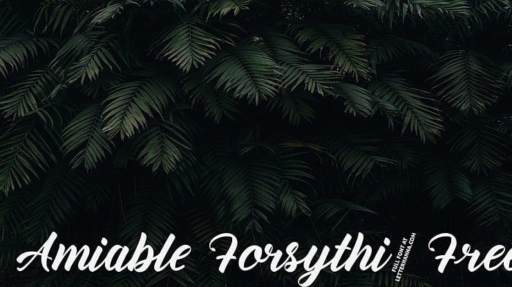 Amiable Forsythia Free Font