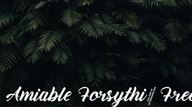 Amiable Forsythia Free Font