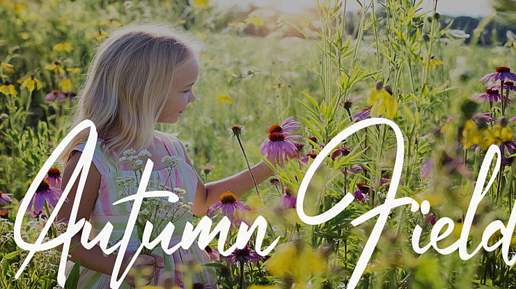 Autumn Field Font