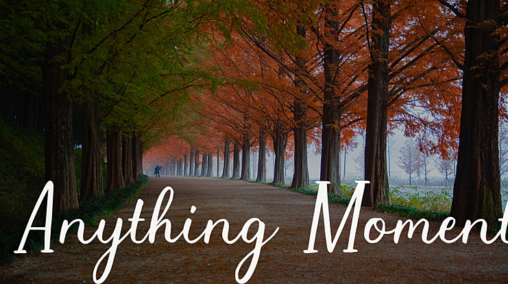 Anything Moment Font