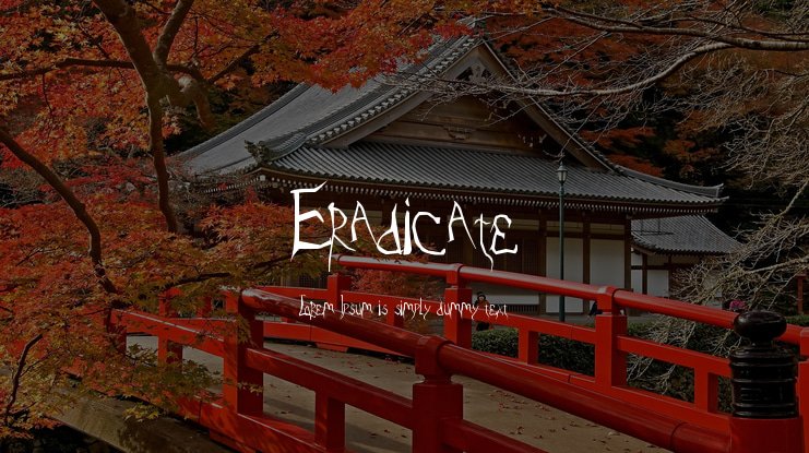 Eradicate Font
