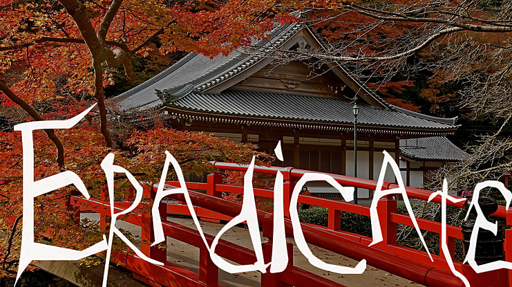 Eradicate Font