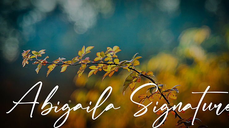 Abigaila Signature Font