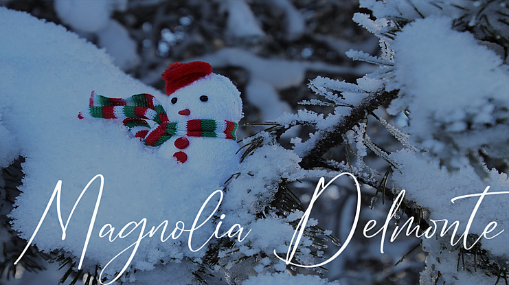 Magnolia Delmonte Font