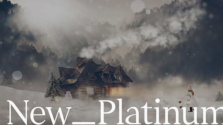 New_Platinum Font