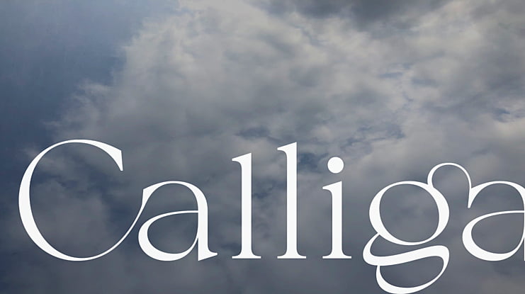 Calliga Font
