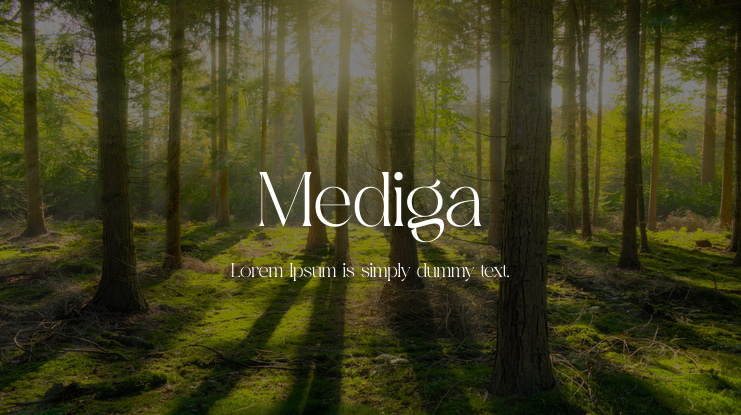 Mediga Font