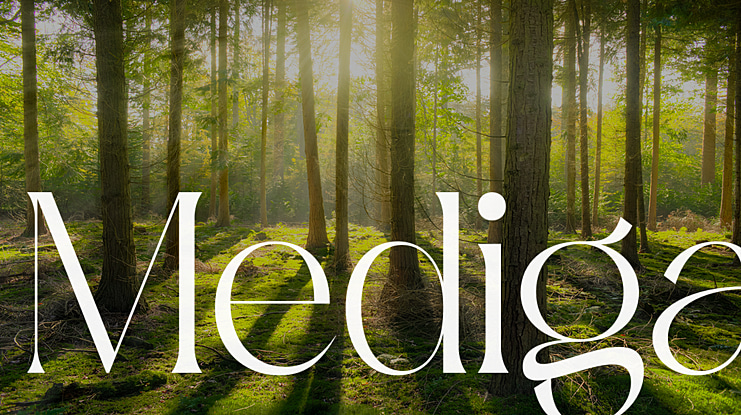 Mediga Font